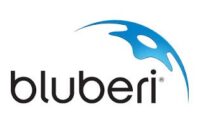 Bluberi