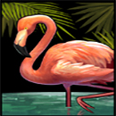 Narcos Symbol Flamingo