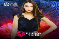 Dragon Tiger Vivo Gaming