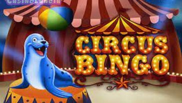 Bingo Circus by Caleta Gaming