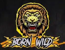 Born Wild Thumbnail