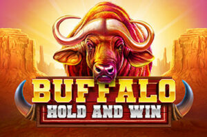 Buffalo Hold and Win Thumbnail