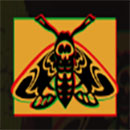 Chaos Crew Moth