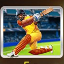 Cricket Mania Paytable Symbol 7