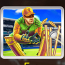 Cricket Mania Paytable Symbol 8