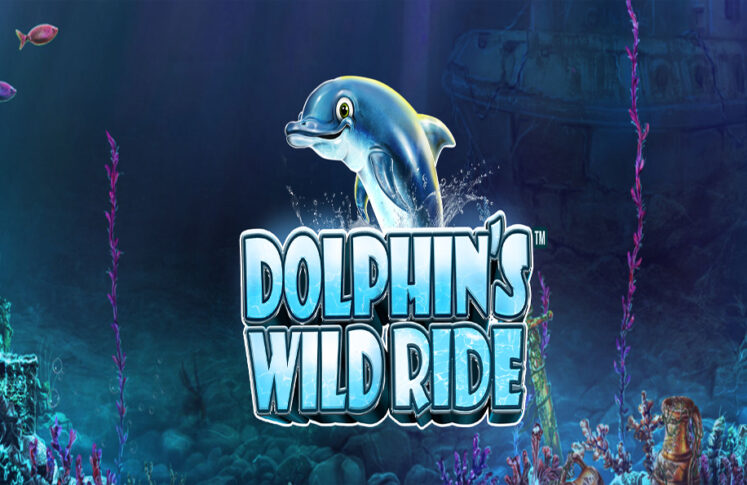 Dolphin’s Wild Ride by SYNOT Games