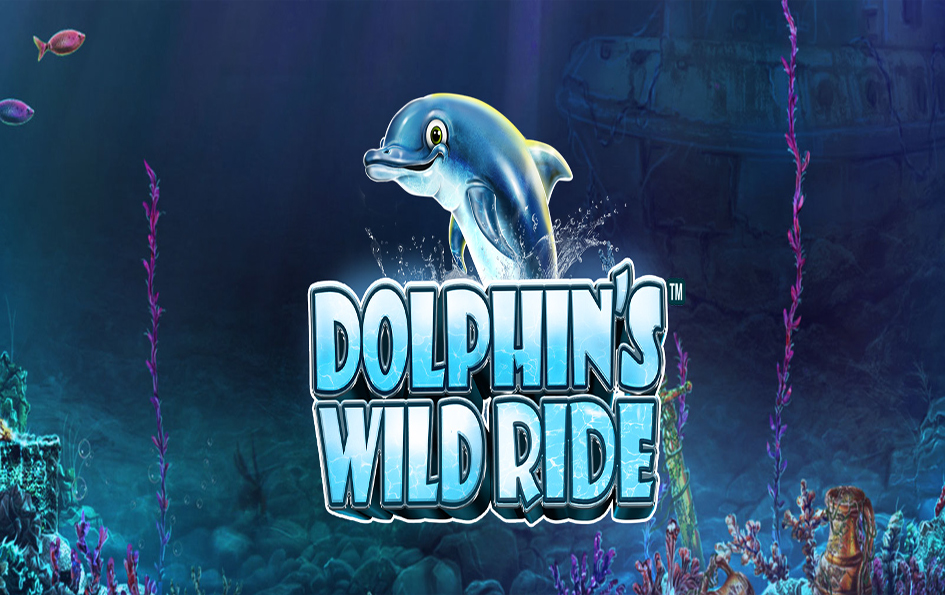 Dolphin’s Wild Ride by SYNOT Games