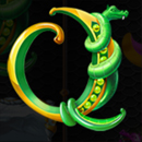 Dragons of Fortune Paytable Symbol 4