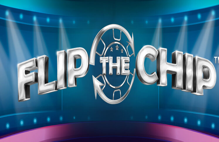 Flip the Chip by SYNOT Games