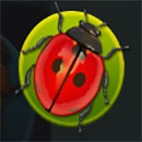 Forest Fortune Ladybug