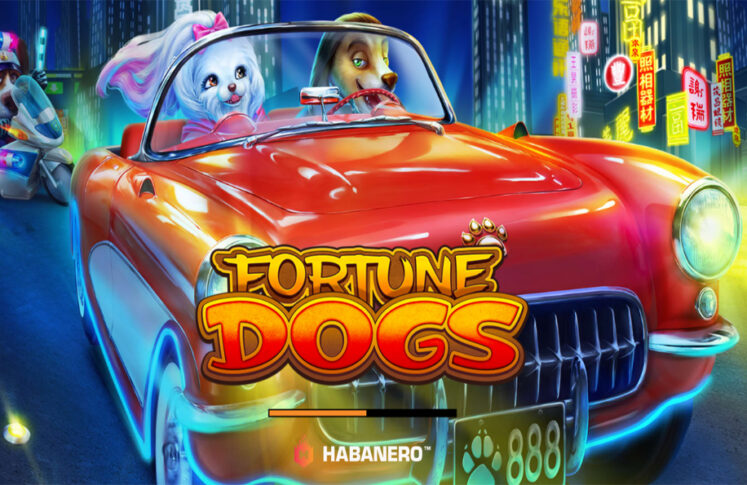 Fortune Dogs by Habanero