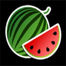 Fresh Fruits Symbol Watermelon