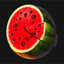 Fruit Vegas Symbol Watermelon