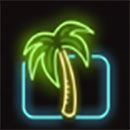 Miami Multiplier Palm