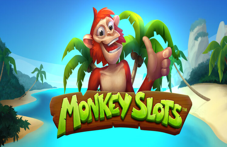 Monkey Slots by SYNOT Games