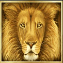 Safari Symbol Lion
