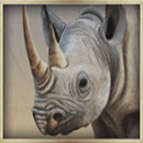 Safari Symbol Rhino