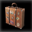 Safari Symbol Suitcase