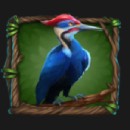 Primal Wilderness Slot