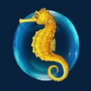 Pearl Lagoon Slot