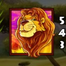 Photo Safari Slot