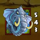 Photo Safari Slot