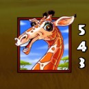 Photo Safari Slot