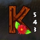 Photo Safari Slot