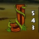 Photo Safari Slot