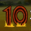 Photo Safari Slot