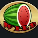 Wild Melon Slot