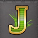 Gold Trophy 2 Slot