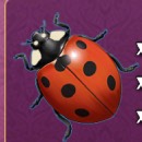 Lady of Fortune Slot