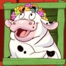 Crazy Cows Slot