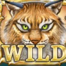 Wild North Slot