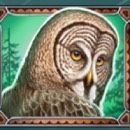 Wild North Slot