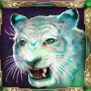 Jade Magician Slot