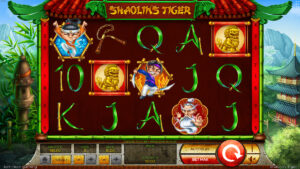 Shaolin Tiger Base Play