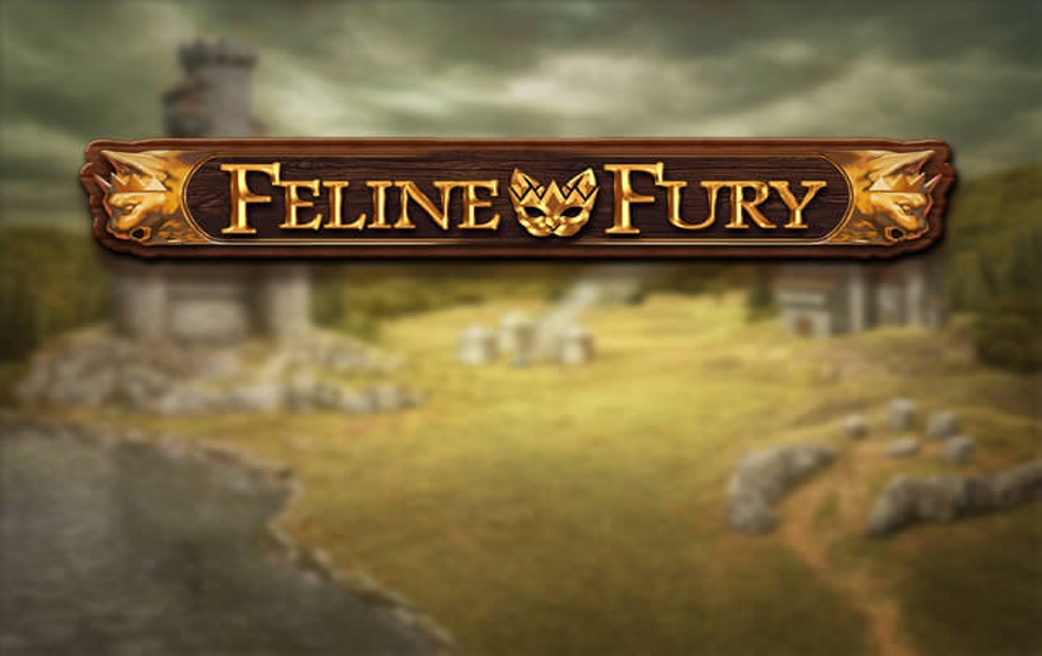 Feline Fury by Play'n GO