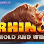 Rhino Hold and Win by Booming Games