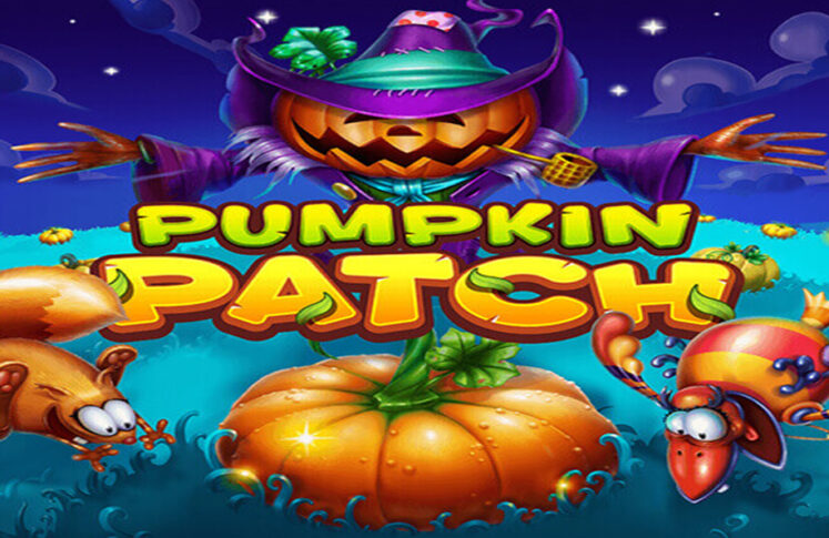 Pumpkin Patch by Habanero