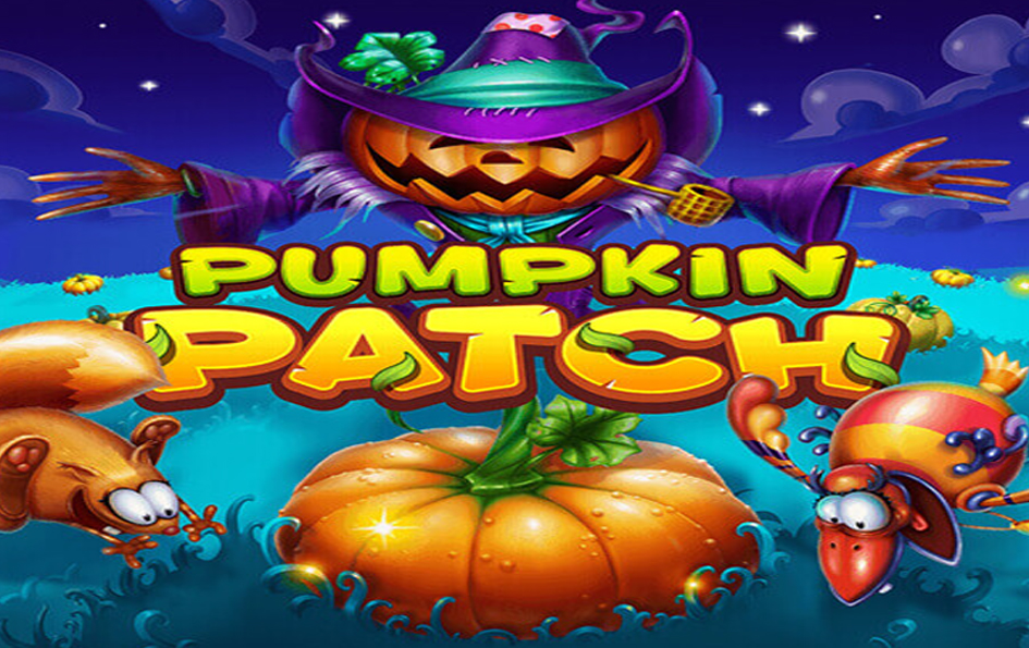 Pumpkin Patch by Habanero