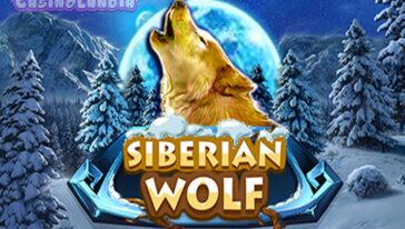 Siberian Wolf by Red Rake