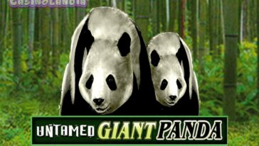 Untamed Giant Panda by Microgaming