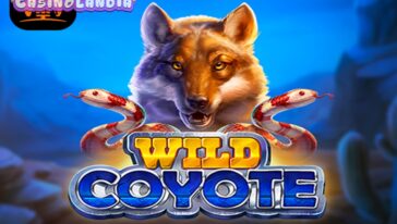 Wild Coyote by Amigo Gaming