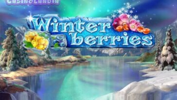 Winter Berries by Yggdrasil