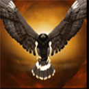 Black Hawk Symbol Hawk