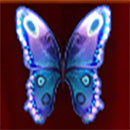 Butterfly Lovers Symbol Blue