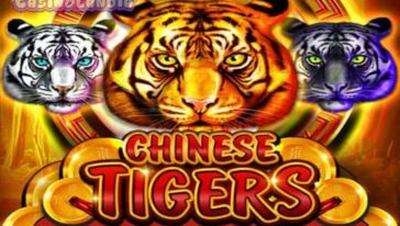 Chinese Tigers by Platipus