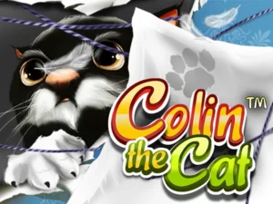 Colin the Cat Thumbnail